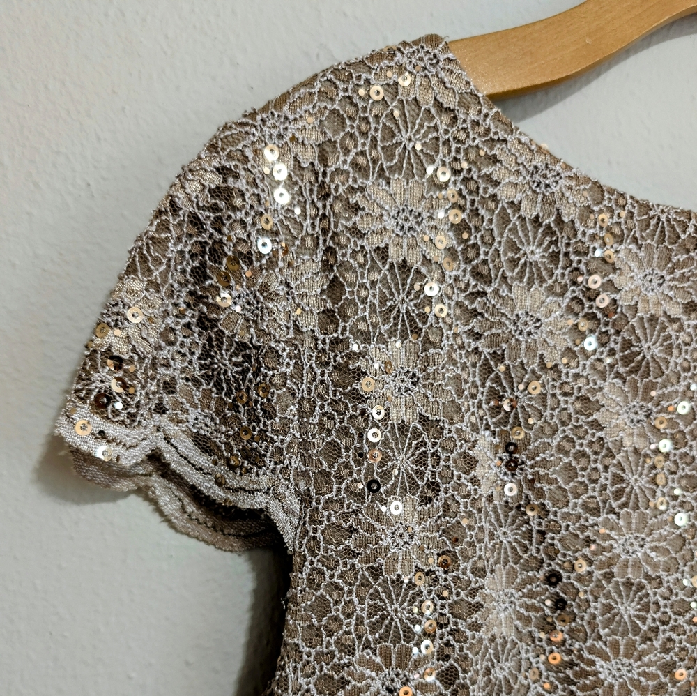 Taupe, Lace Sequin Stretch Dress, Mother Of The Bride / Groom, Semi-formal Xl